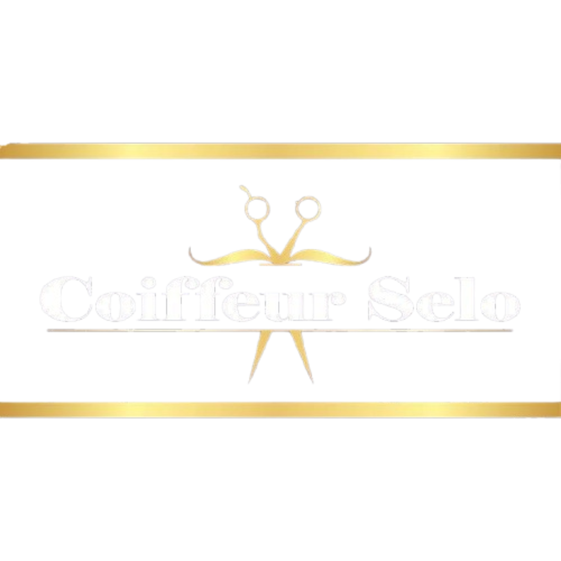 WhatsApp_Image_2025-08-03_at_1.18.19_AM-removebg-preview(1)